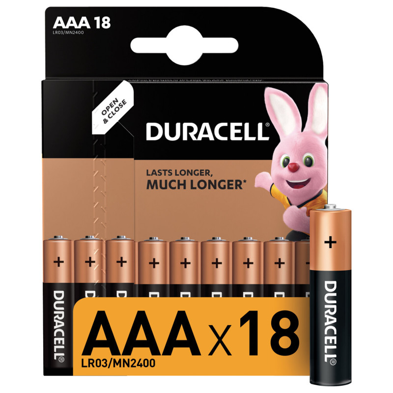Батарейка DURACELL Basic, AAA (LR03, 24А), алкалиновые, мизинчиковые